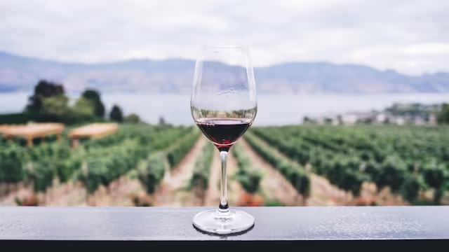 Wine Tours